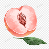 WWW,se191·COM网站APPAPP应用